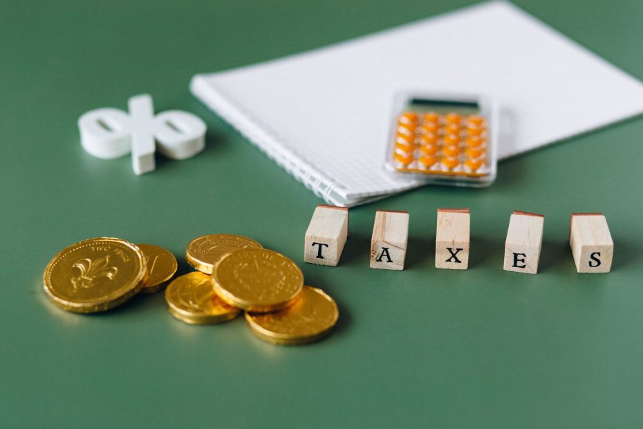 Singapore tax planning guide reduce tax legally | Foto: Nataliya Vaitkevich, Pexels - Digunakan untuk keperluan editorial seamoneytips.com